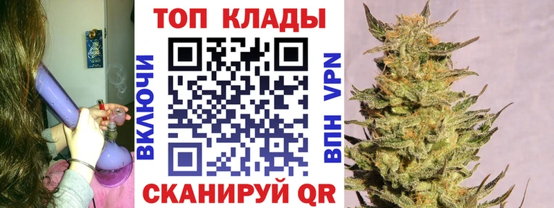 A PVP Берёзовка
