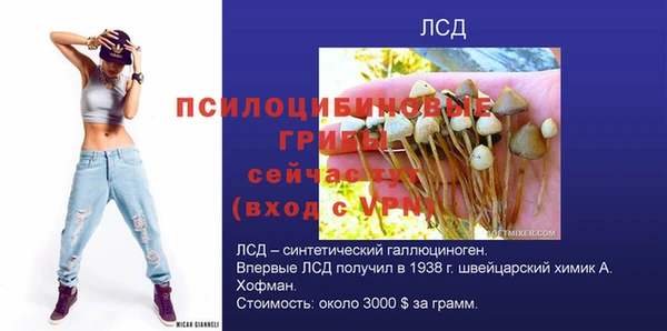 ПСИЛОЦИБИНОВЫЕ ГРИБЫ Абдулино