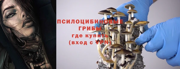 МДПВ Алексин