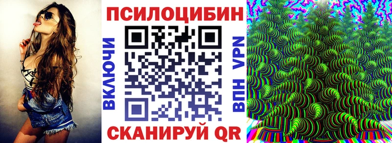 даркнет официальный сайт ссылка на мегу сайт Берёзовка Псилоцибиновые грибы Psilocybine cubensis